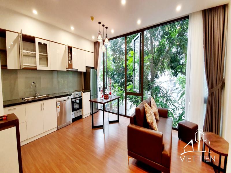 Modern 1 bedroom apartment on Tu Hoa ID 0106