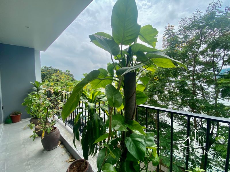 Spacious modern 2 bedroom with big balcony on Nhat Chieu ID 0107