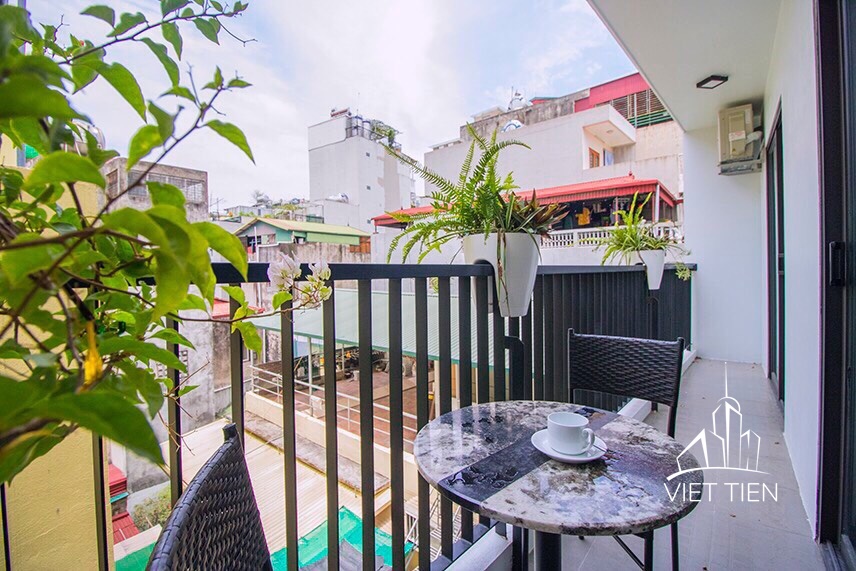 Cozy 02 bedrooms apartment with rootop - huge terrace on Vu Mien Str  ID 0147