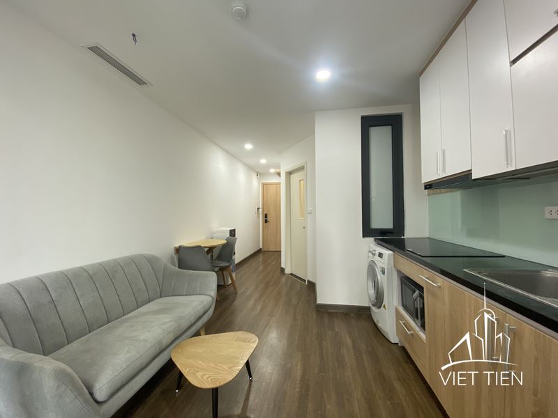 Affordable 1 Bedroom Apartment on Xuan Dieu street ID 0199