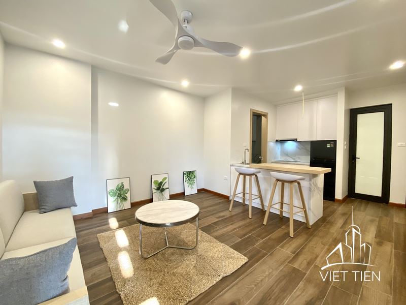 Modern 1 Bedroom Apartment on Xuan Dieu street ID 0203